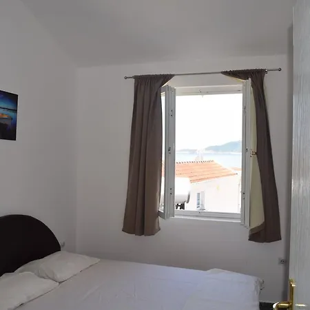 Apartment Vidakovic *